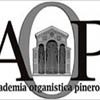 accademiaorganisticapinerolese.org